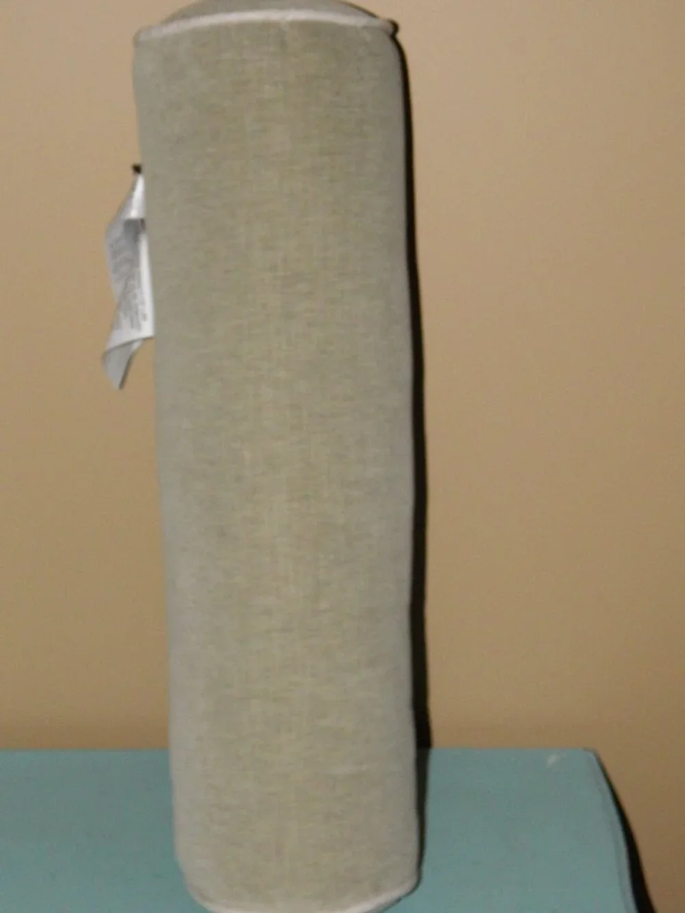 West Elm Classic Cotton Velvet Bolster Pillow NWT